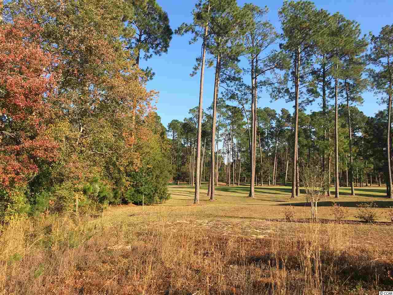 489 Brood Court Conway, SC 29526 - Photo 13 of 14 Gallery Image 13