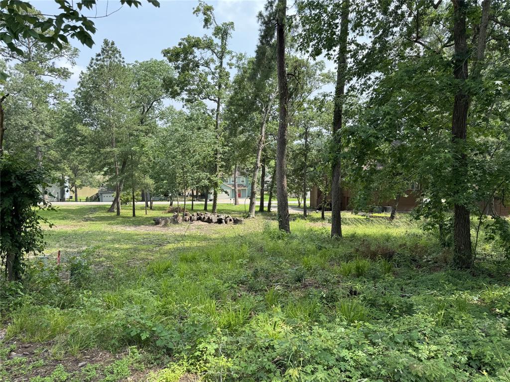 a view of park with trees