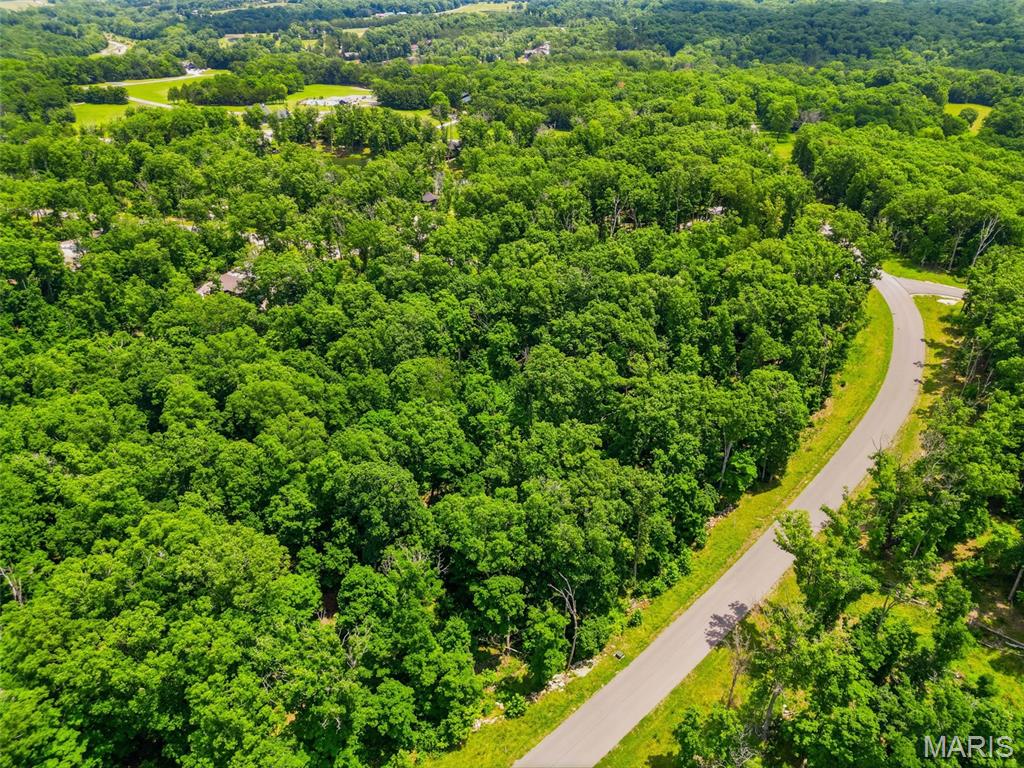 2833 Tyrolean Way Drive Innsbrook, MO 63390 - Photo 3 of 6
