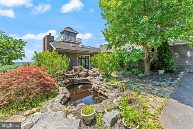 a view of a patio with table and chairs potted plants and large tree