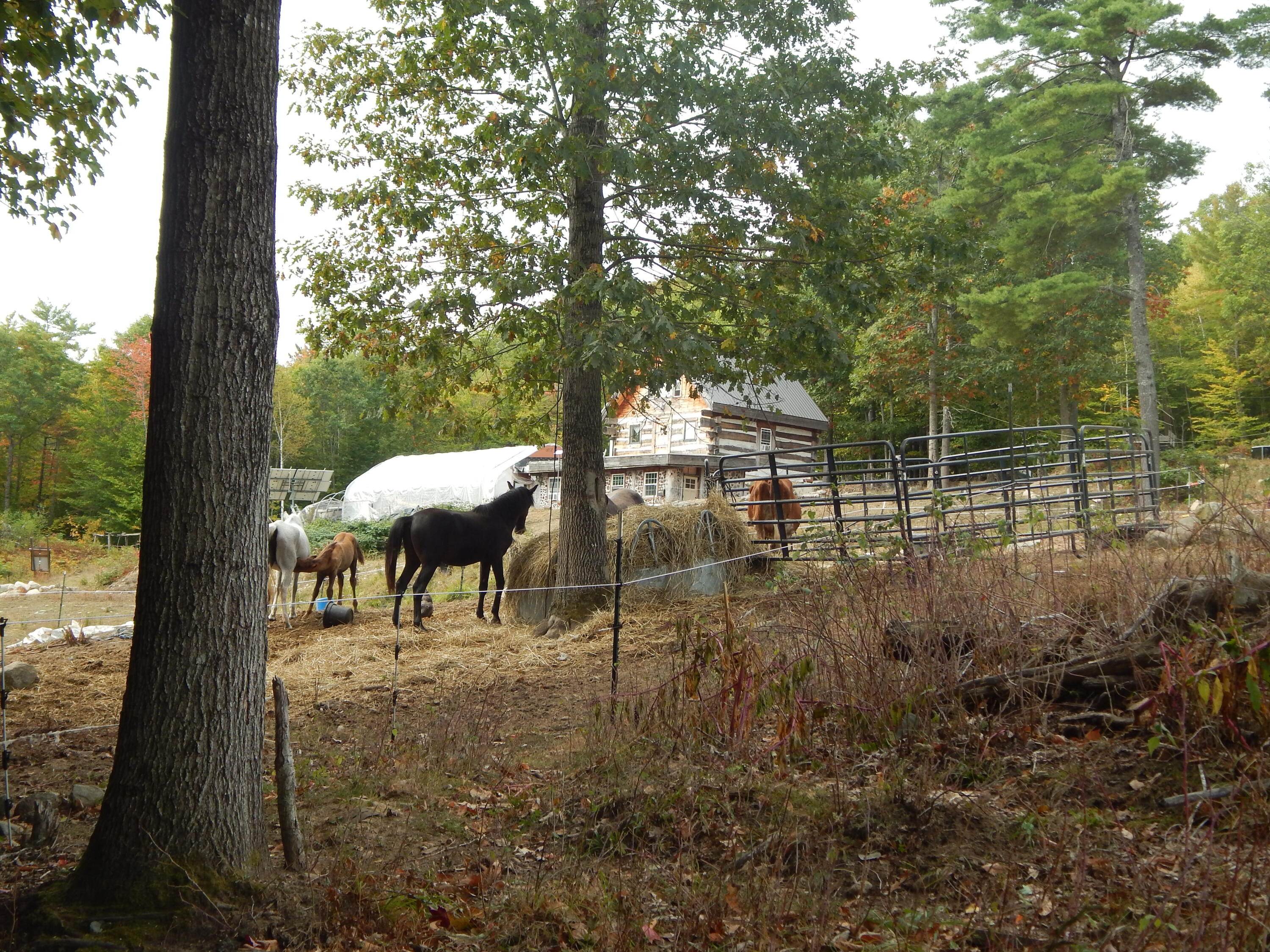 125 Corn Hill Road Brownfield, ME 04010 - Photo 6 of 38