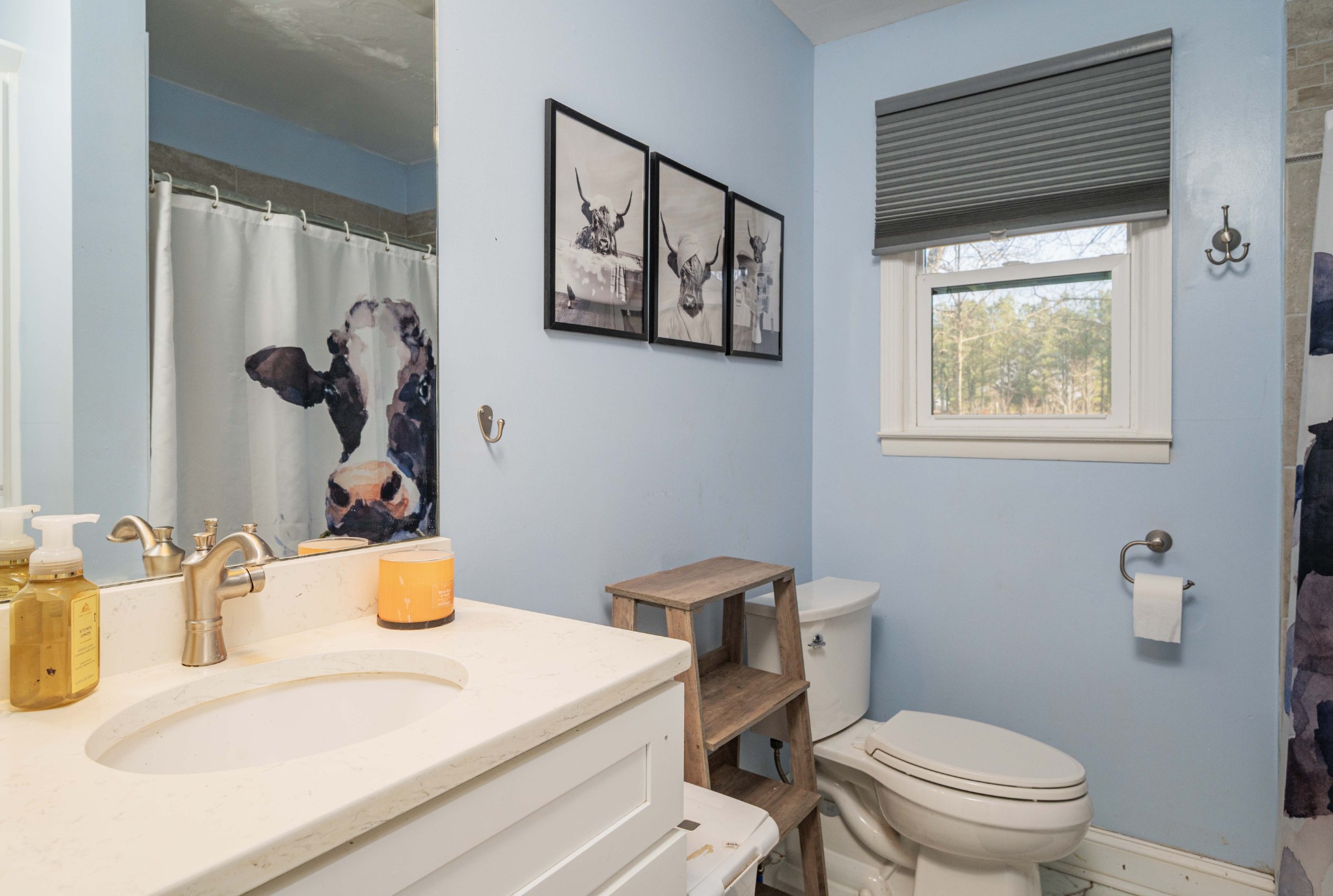 9202 Link Road Christiana, TN 37037 - Photo 24 of 37 a bathroom with a sink a toilet and a mirror