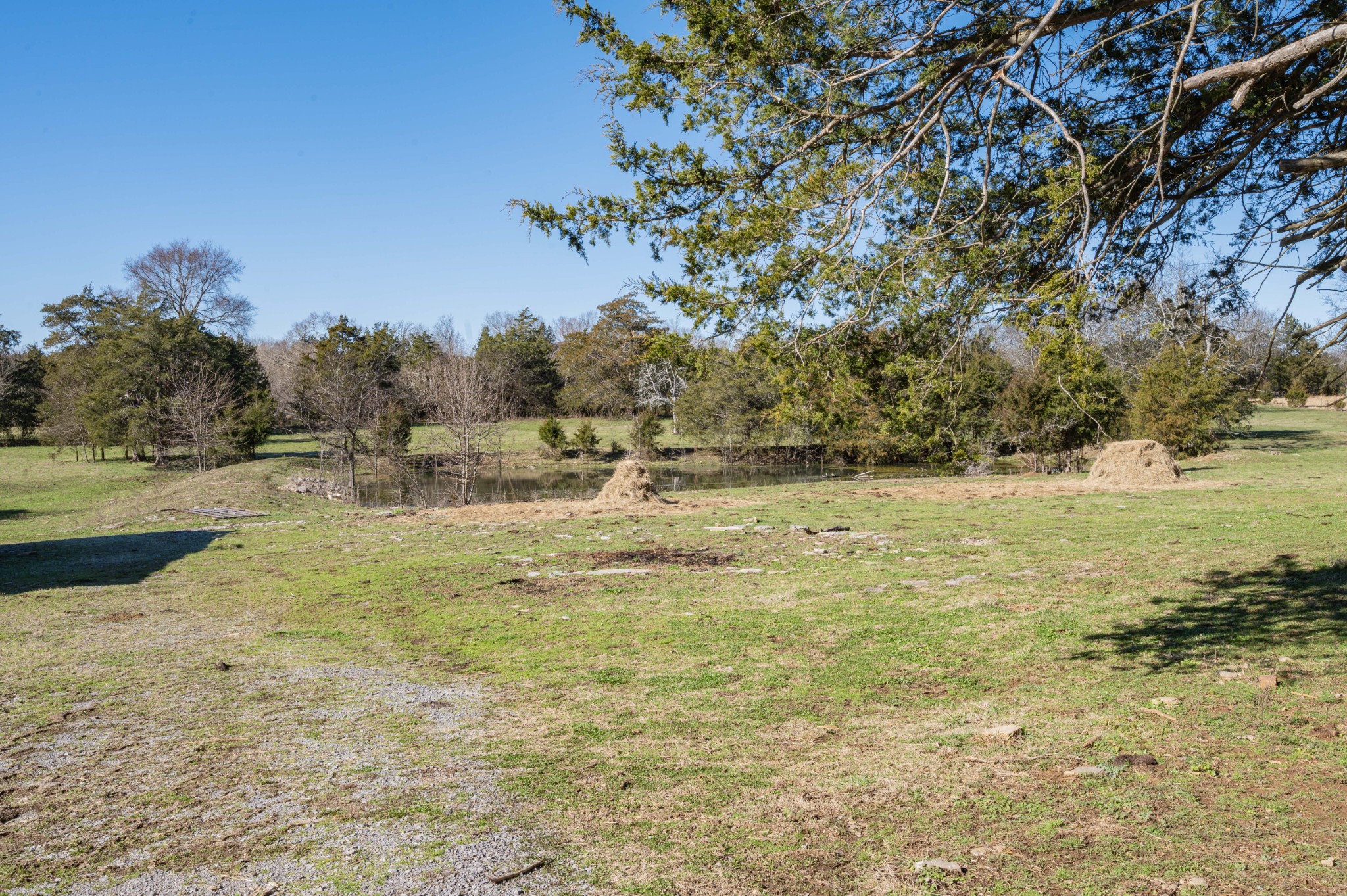 9202 Link Road Christiana, TN 37037 - Photo 36 of 37