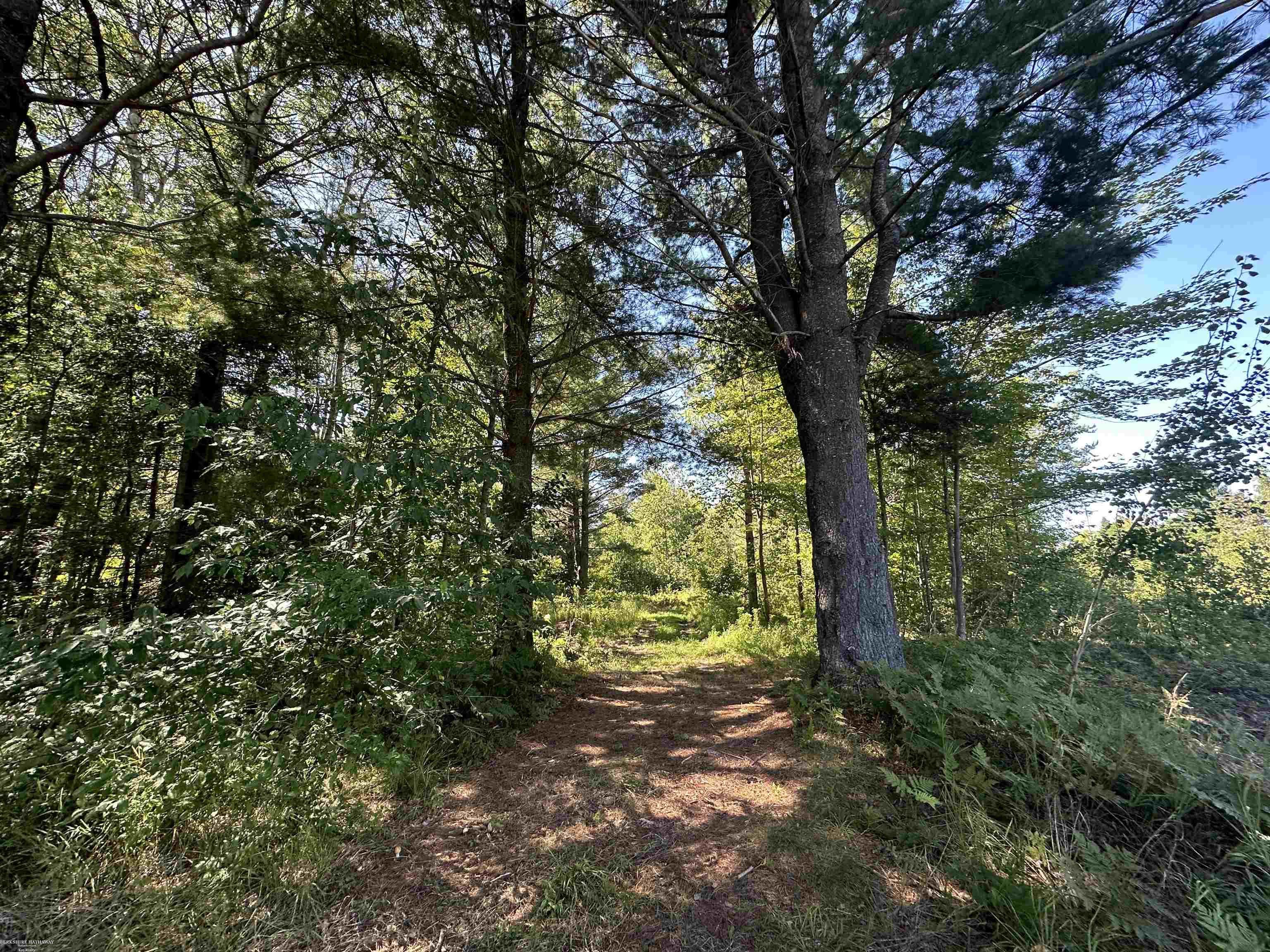 0 Long Lake Road Hale, MI 48739 - Photo 14 of 20