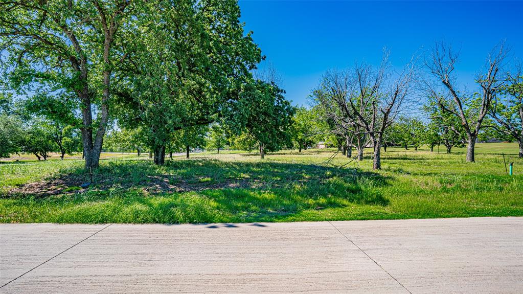 8433 West Landings Road Granbury, TX 76049 - Photo 3 of 24 a view of grassy area with trees