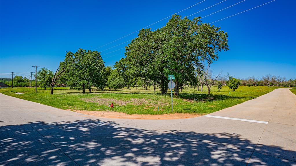 8433 West Landings Road Granbury, TX 76049 - Photo 4 of 24 a view of a house with a big yard
