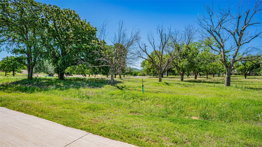 8433 West Landings Road Granbury, TX 76049 - Photo 5 of 24 a view of a park with trees