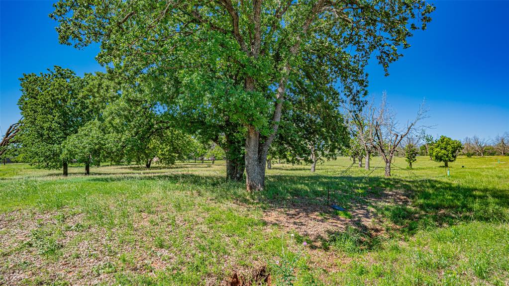 8433 West Landings Road Granbury, TX 76049 - Photo 6 of 24 a view of backyard with green space