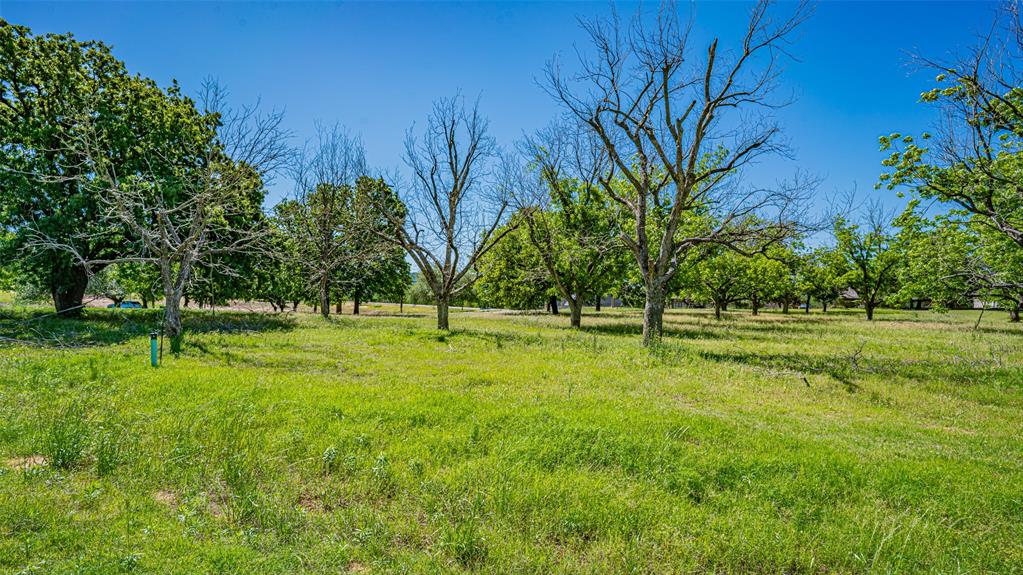 8433 West Landings Road Granbury, TX 76049 - Photo 7 of 24 a view of a tree in a park