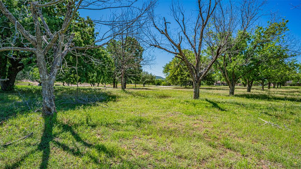 8433 West Landings Road Granbury, TX 76049 - Photo 8 of 24 a view of a park with large trees