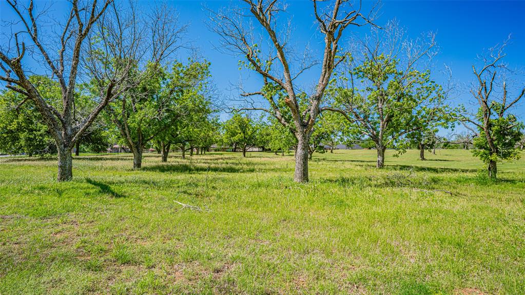 8433 West Landings Road Granbury, TX 76049 - Photo 9 of 24 a view of yard with trees