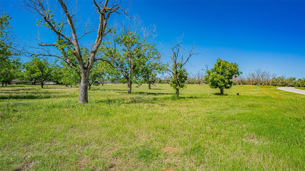 8433 West Landings Road Granbury, TX 76049 - Photo 10 of 24 a view of a golf course