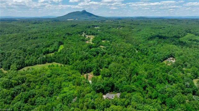 $1,650,000 | 1280 River Bluff Trail, Tobaccoville, NC 27050