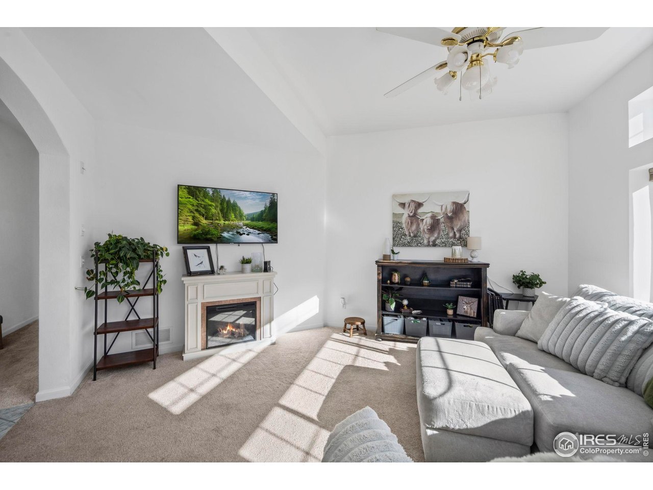 925 Falcon Ridge Court Eaton, CO 80615 - Photo 8 of 32