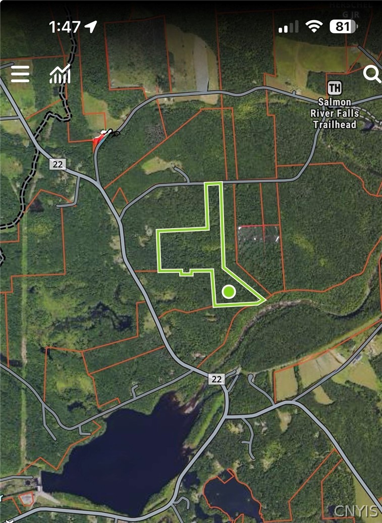98 Wooliver Road Orwell, NY 13144 - Photo 9 of 11
