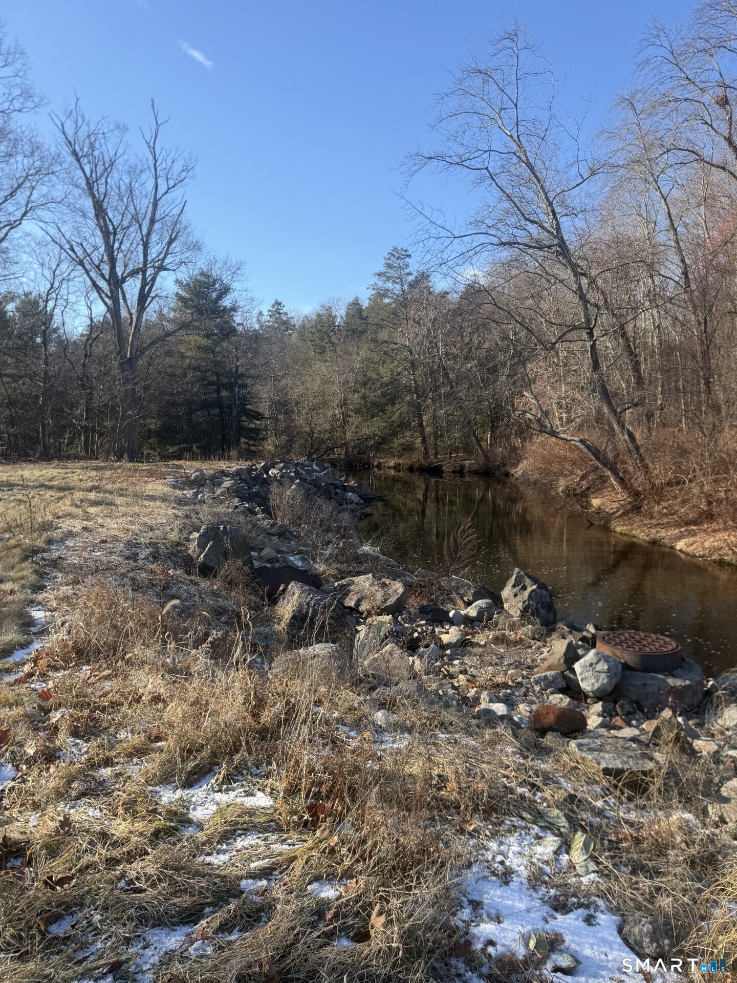 144 South Riverside Avenue Plymouth, CT 06786 - Photo 4 of 6 a view of a yard with a tree
