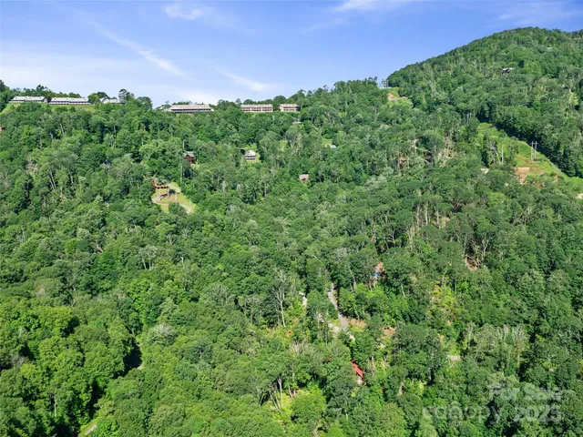 a view of pool with lawn chairs and plants