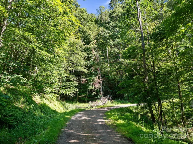 a backyard of a house with lots of plants