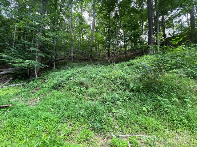 a big yard with lots of green space and deers