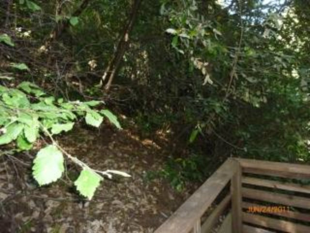 500 Waldeberg Road Ben Lomond, CA 95005 - Photo 3 of 12 Gallery Image 3