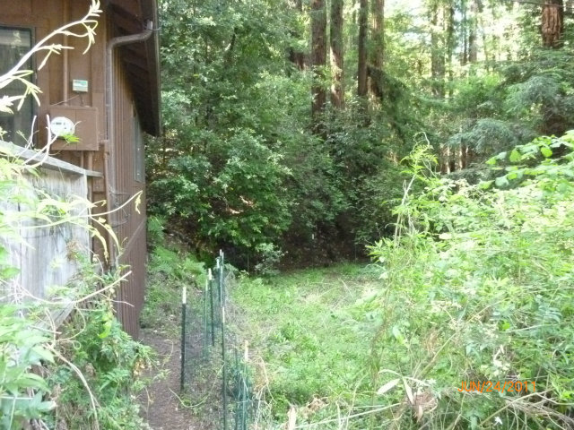500 Waldeberg Road Ben Lomond, CA 95005 - Photo 4 of 12 Gallery Image 4