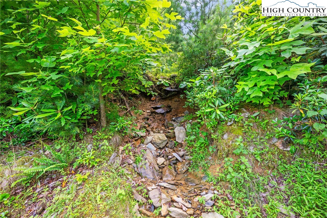 Lot 330 Pepperroot Road Boone, NC 28607 - Photo 16 of 16 a backyard of a house with lots of green space