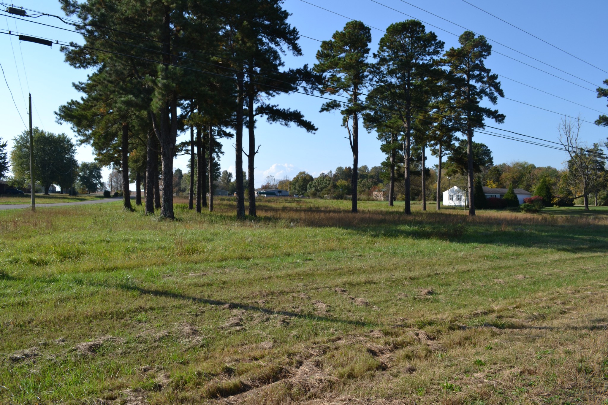 2 Dover Road Woodlawn, TN 37191 - Photo 2 of 8 Gallery Image 2