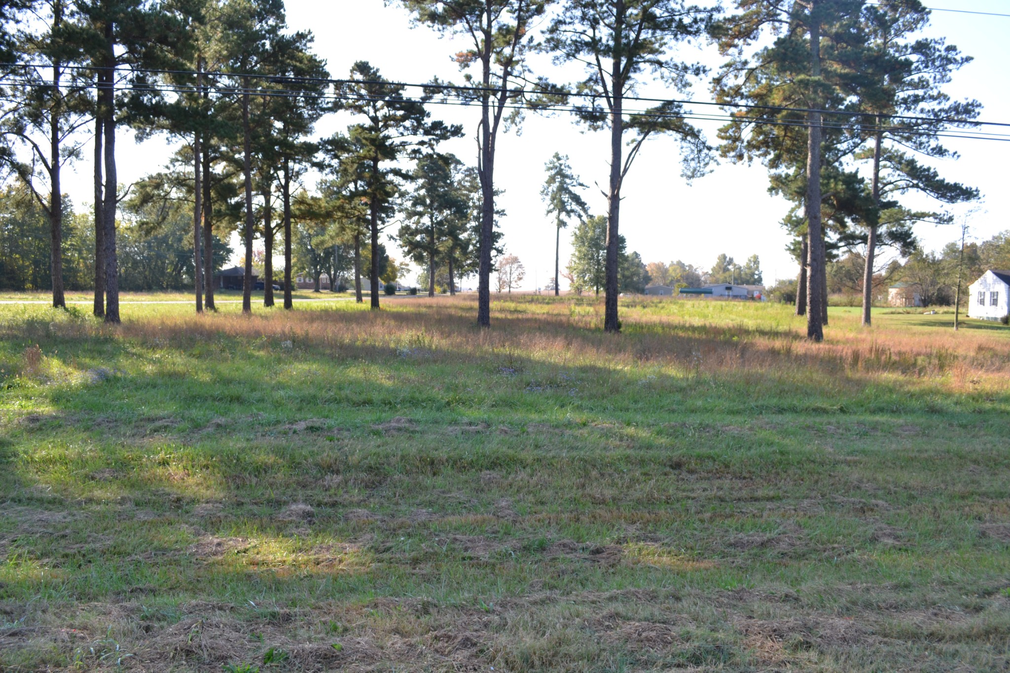 2 Dover Road Woodlawn, TN 37191 - Photo 3 of 8 Gallery Image 3