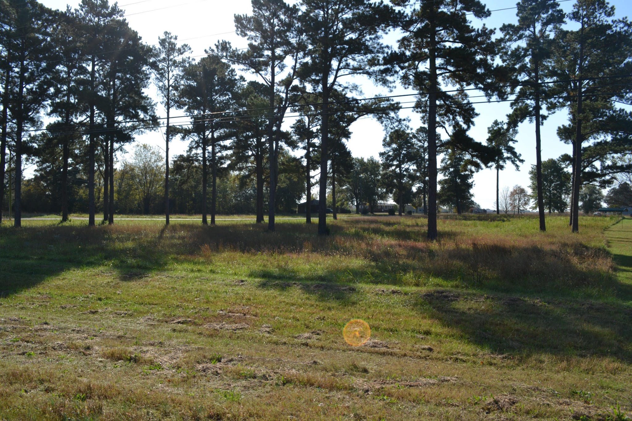 2 Dover Road Woodlawn, TN 37191 - Photo 4 of 8 Gallery Image 4