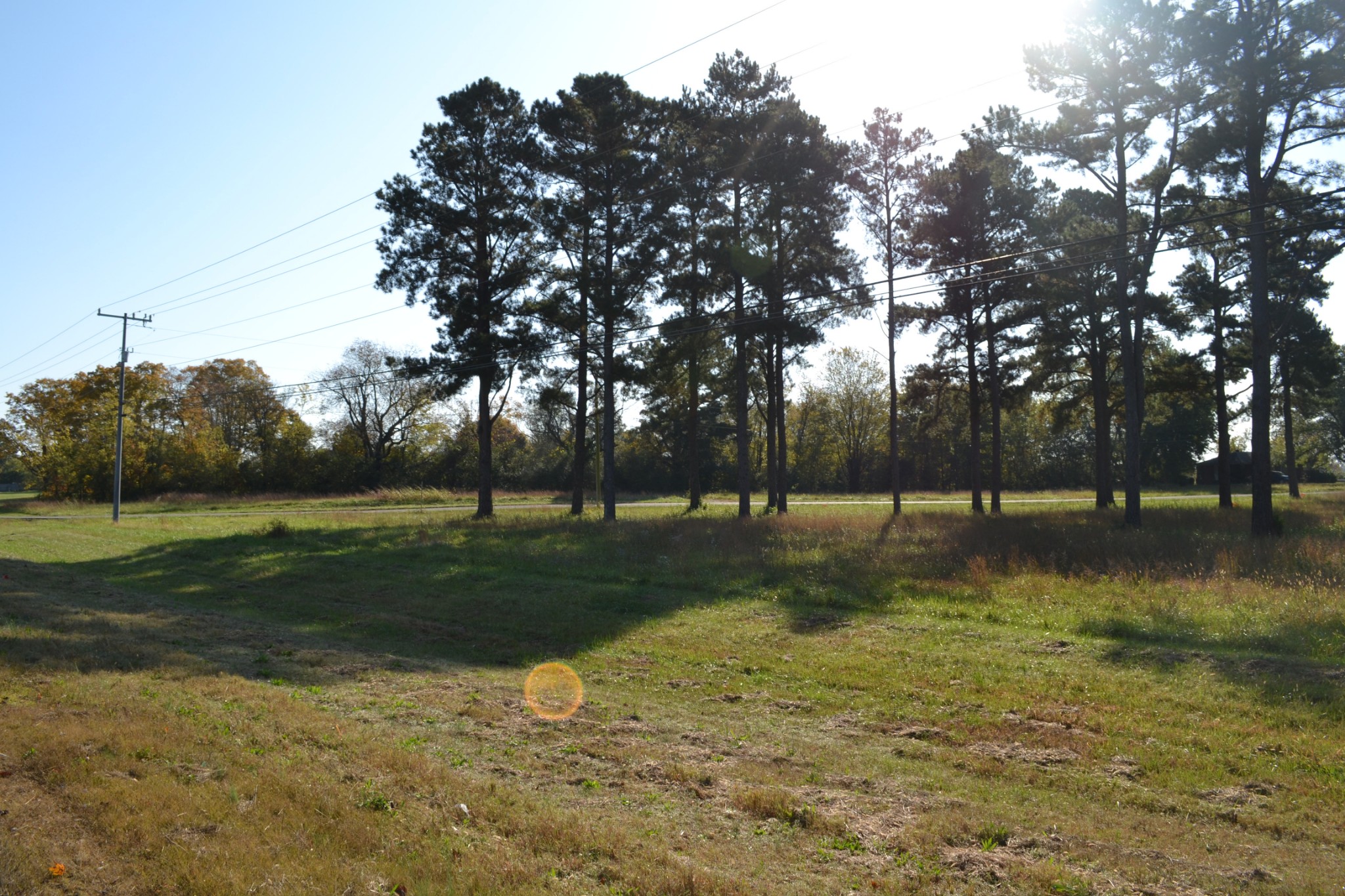 2 Dover Road Woodlawn, TN 37191 - Photo 5 of 8 Gallery Image 5