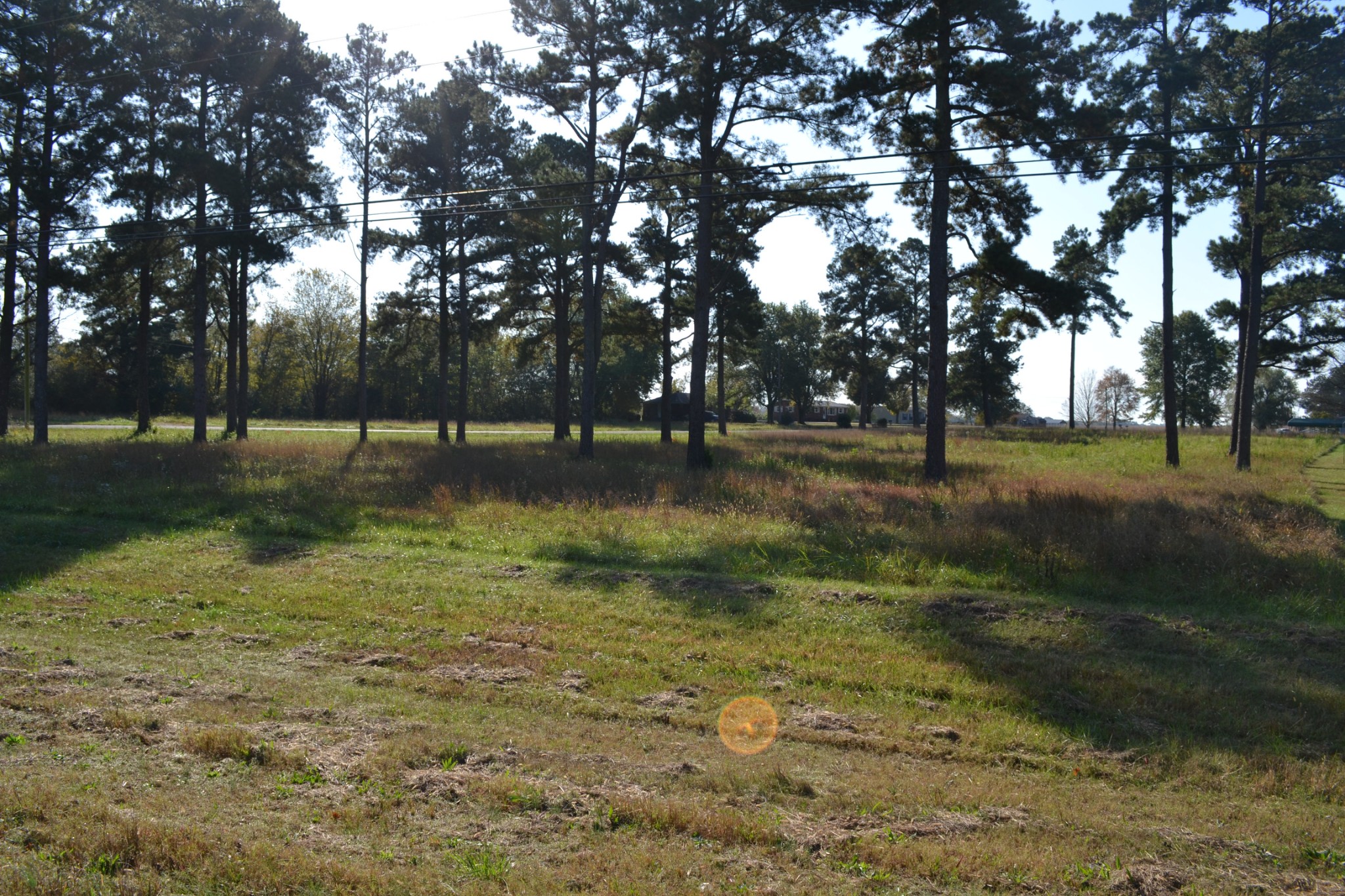 2 Dover Road Woodlawn, TN 37191 - Photo 6 of 8 Gallery Image 6