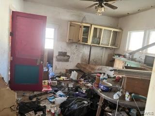 303 North Pine Street Irving, IL 62051 - Photo 11 of 12