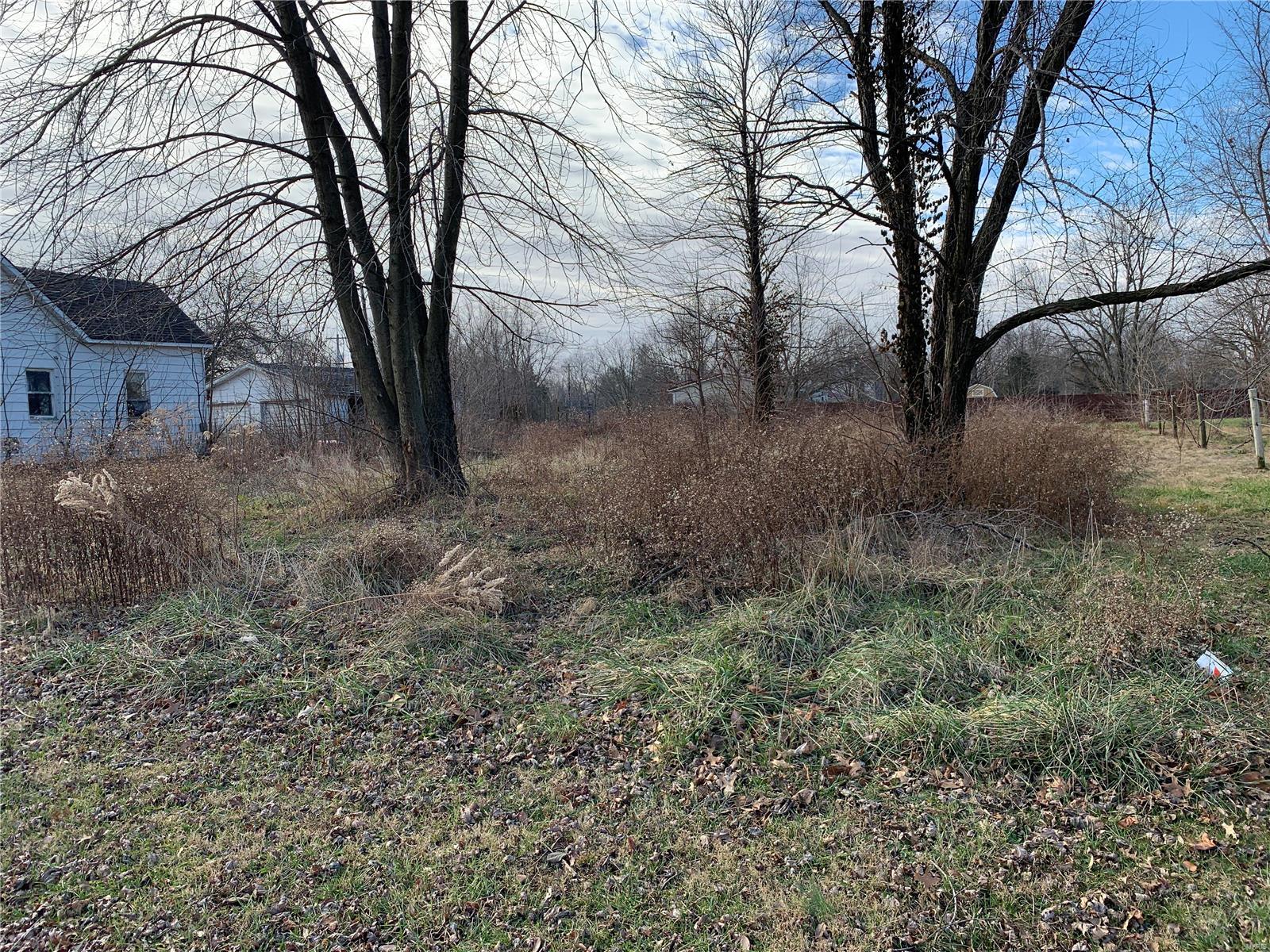 303 North Pine Street Irving, IL 62051 - Photo 4 of 12