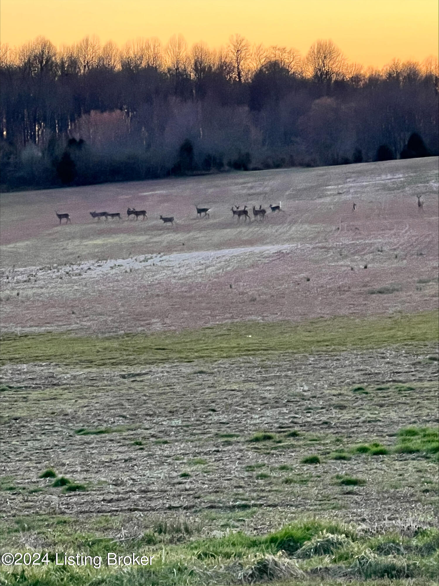 3011 Hawkins Road Sonora, KY 42776 - Photo 9 of 24 processed-7FB56587-17AE-4BC3-9BAD-FEBF6F