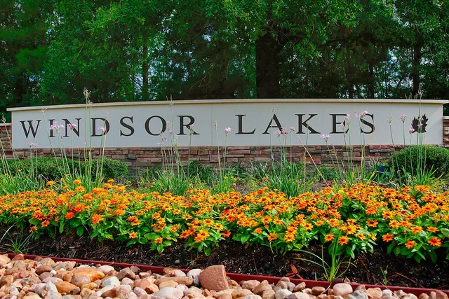 a view of sign board with plants