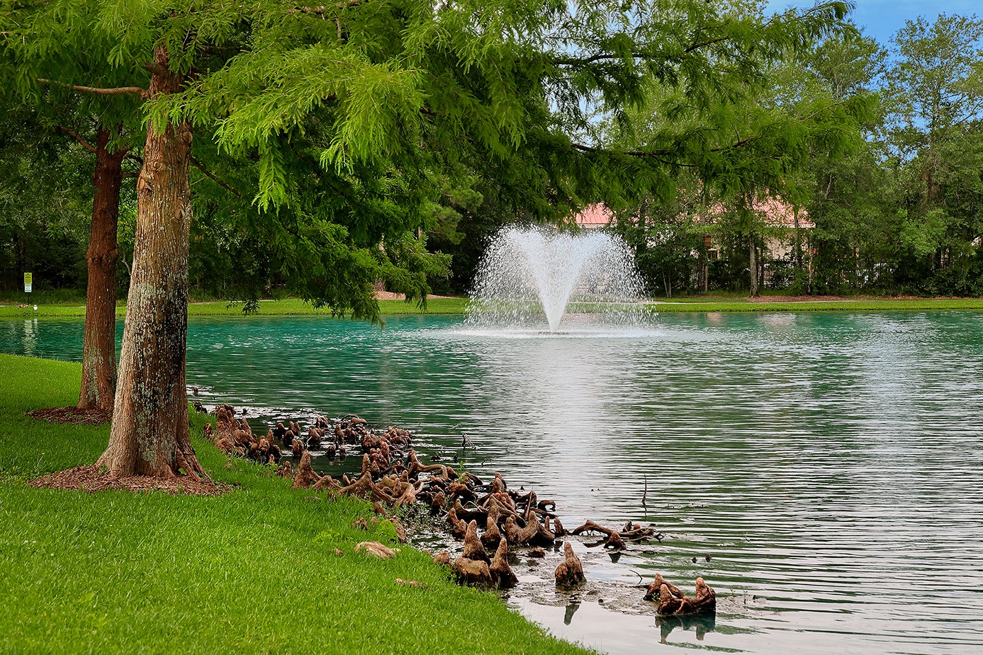 7 Sovereign Way Conroe, TX 77384 - Photo 44 of 47 a view of a lake with houses