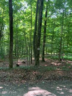 Lot 3-101 Nevin Road Newfoundland, PA 18445 - Photo 1 of 1