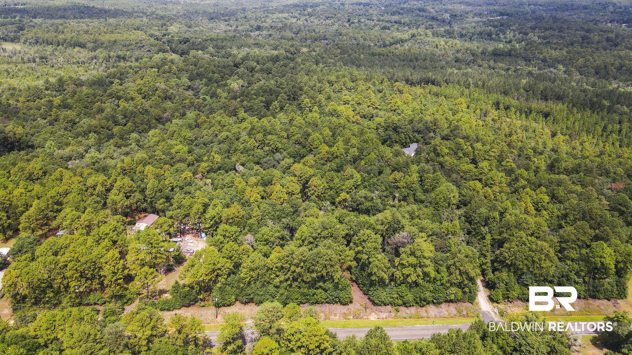 0 Mt.Pilgrim Road Eight Mile, AL 36613 - Photo 2 of 14 Aerial view of property's location