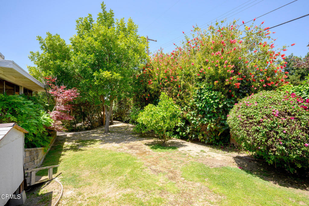 17149 Bullock Street Encino, CA 91316 - Photo 28 of 32 a view of a yard with plants