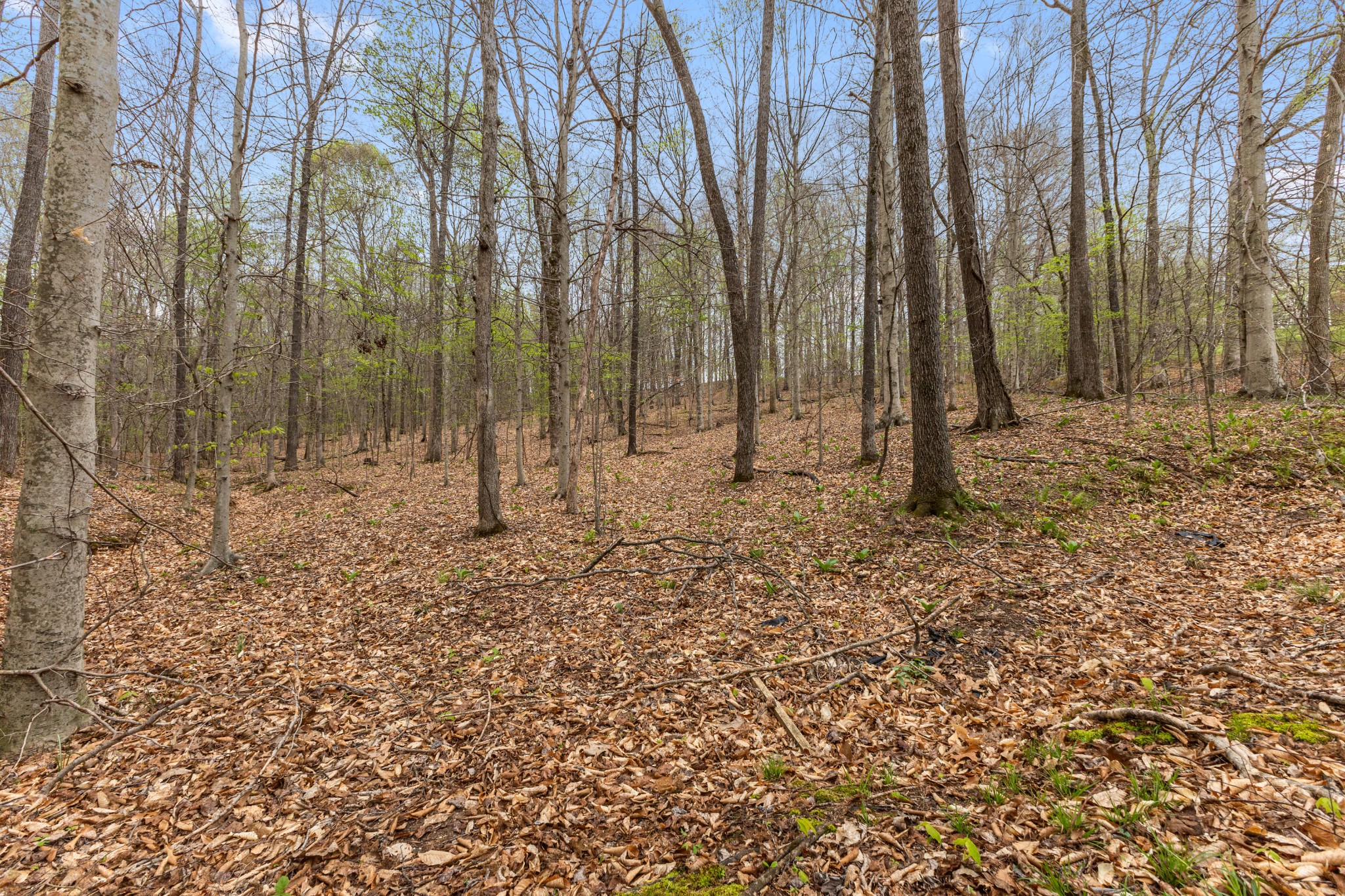 180 Hill Road Vanleer, TN 37181 - Photo 21 of 43