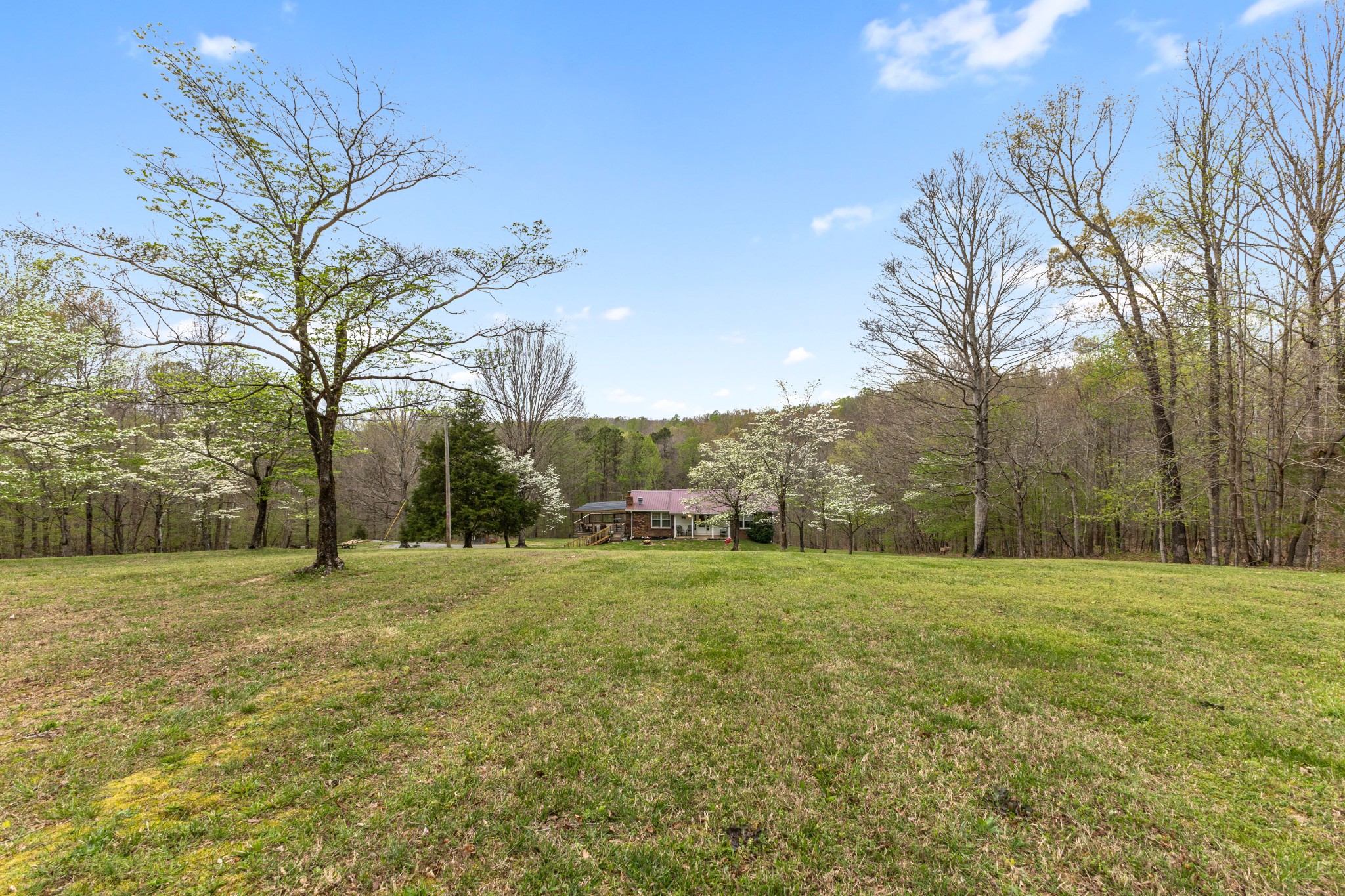 180 Hill Road Vanleer, TN 37181 - Photo 3 of 43