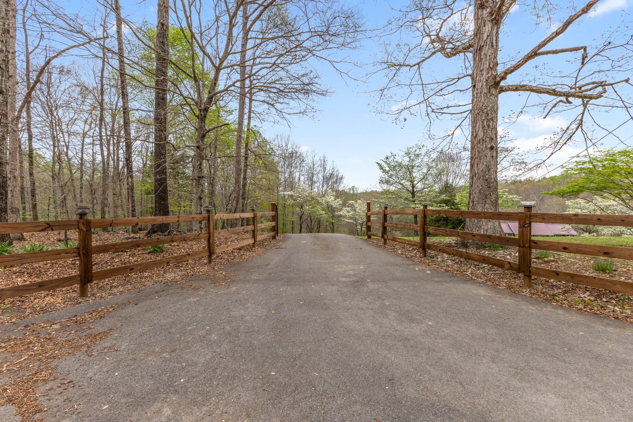 180 Hill Road Vanleer, TN 37181 - Photo 4 of 43