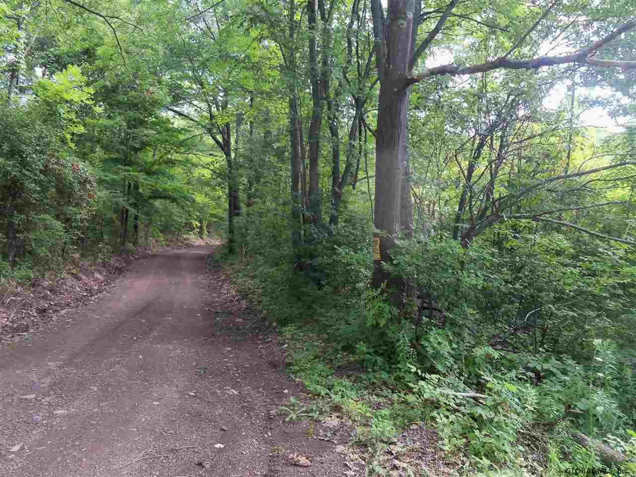 0 Debar Hill Road Middleburgh, NY 12122 - Photo 1 of 6 Photo 1