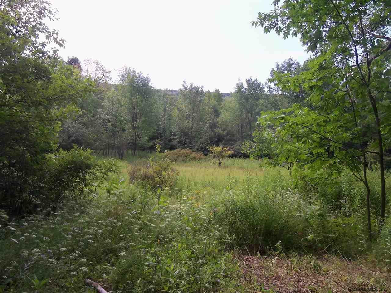 0 Debar Hill Road Middleburgh, NY 12122 - Photo 2 of 6 Photo 2