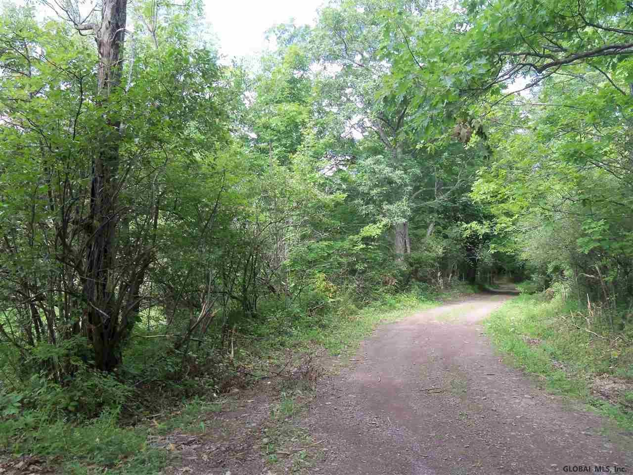 0 Debar Hill Road Middleburgh, NY 12122 - Photo 3 of 6 Photo 3