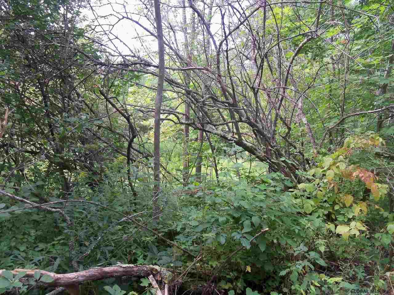 0 Debar Hill Road Middleburgh, NY 12122 - Photo 4 of 6 Photo 4