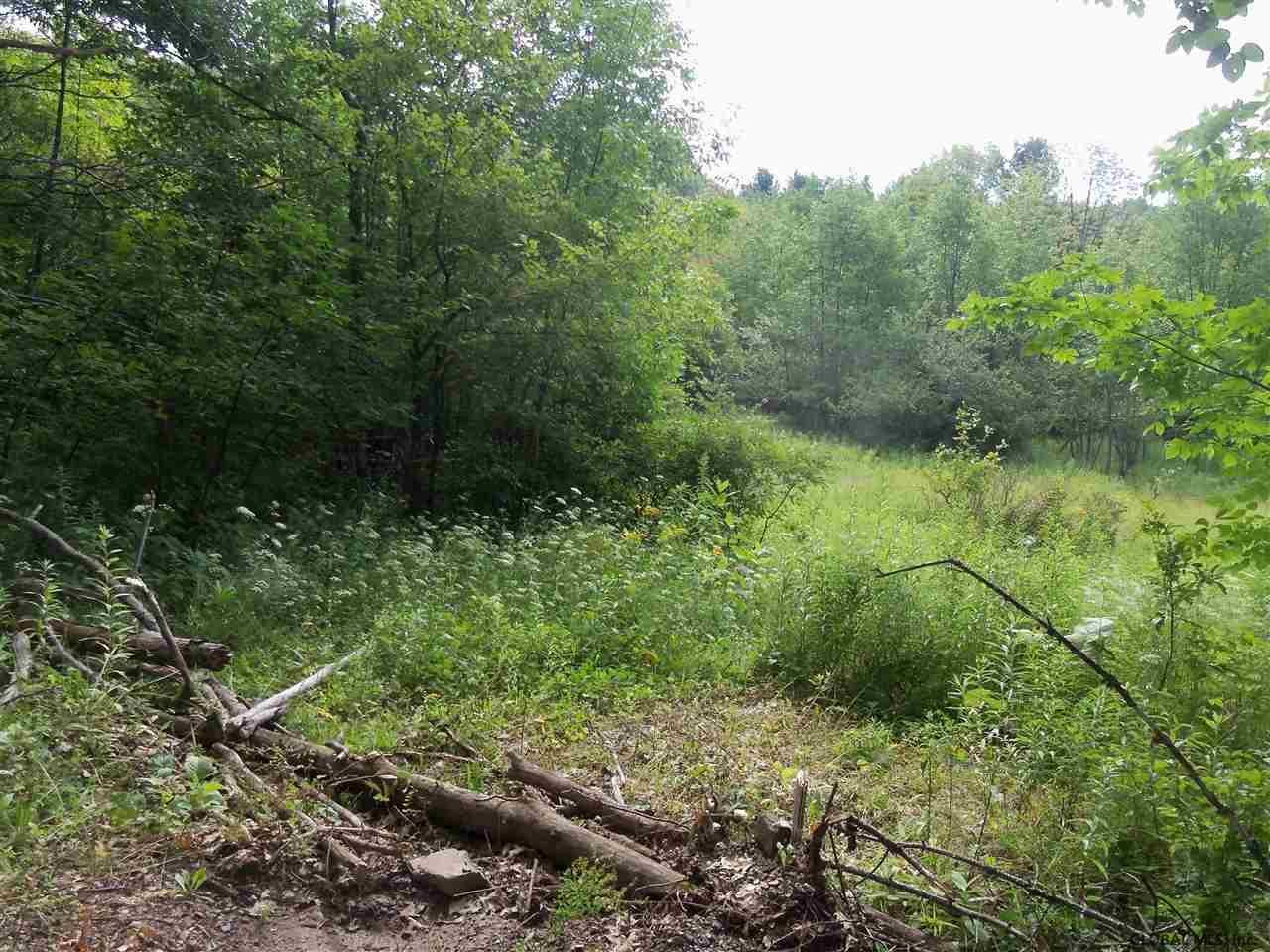 0 Debar Hill Road Middleburgh, NY 12122 - Photo 5 of 6 Photo 5