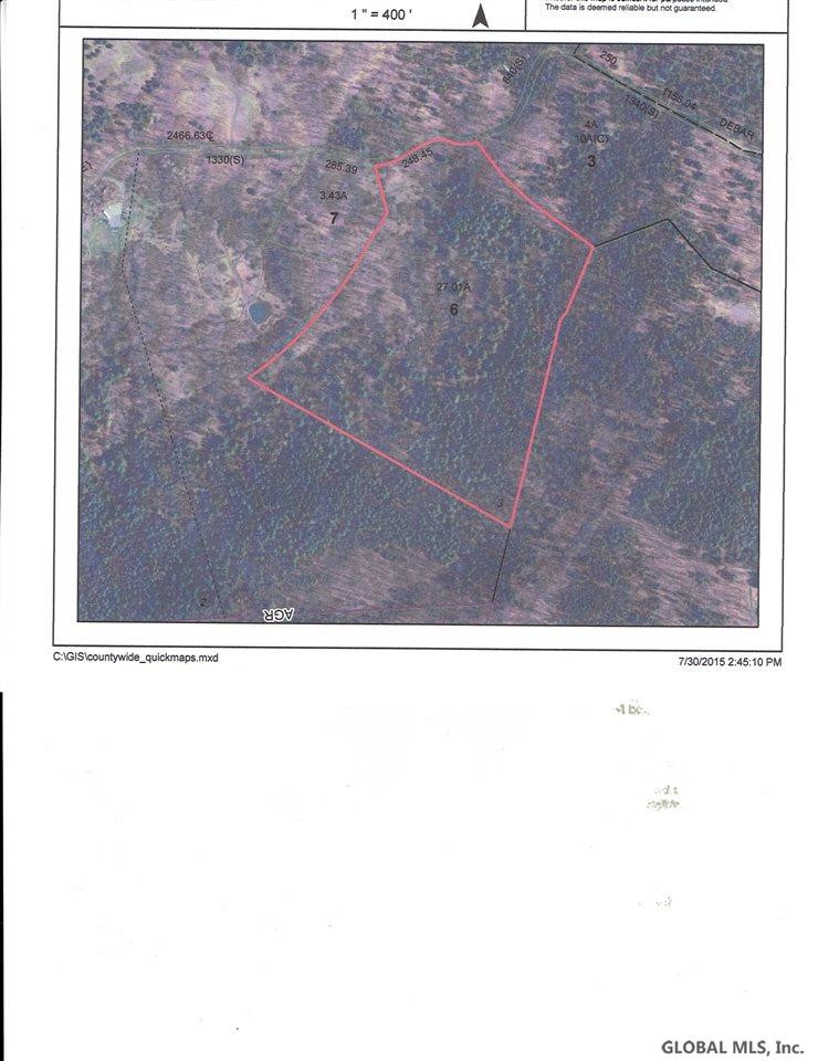0 Debar Hill Road Middleburgh, NY 12122 - Photo 6 of 6 Photo 6