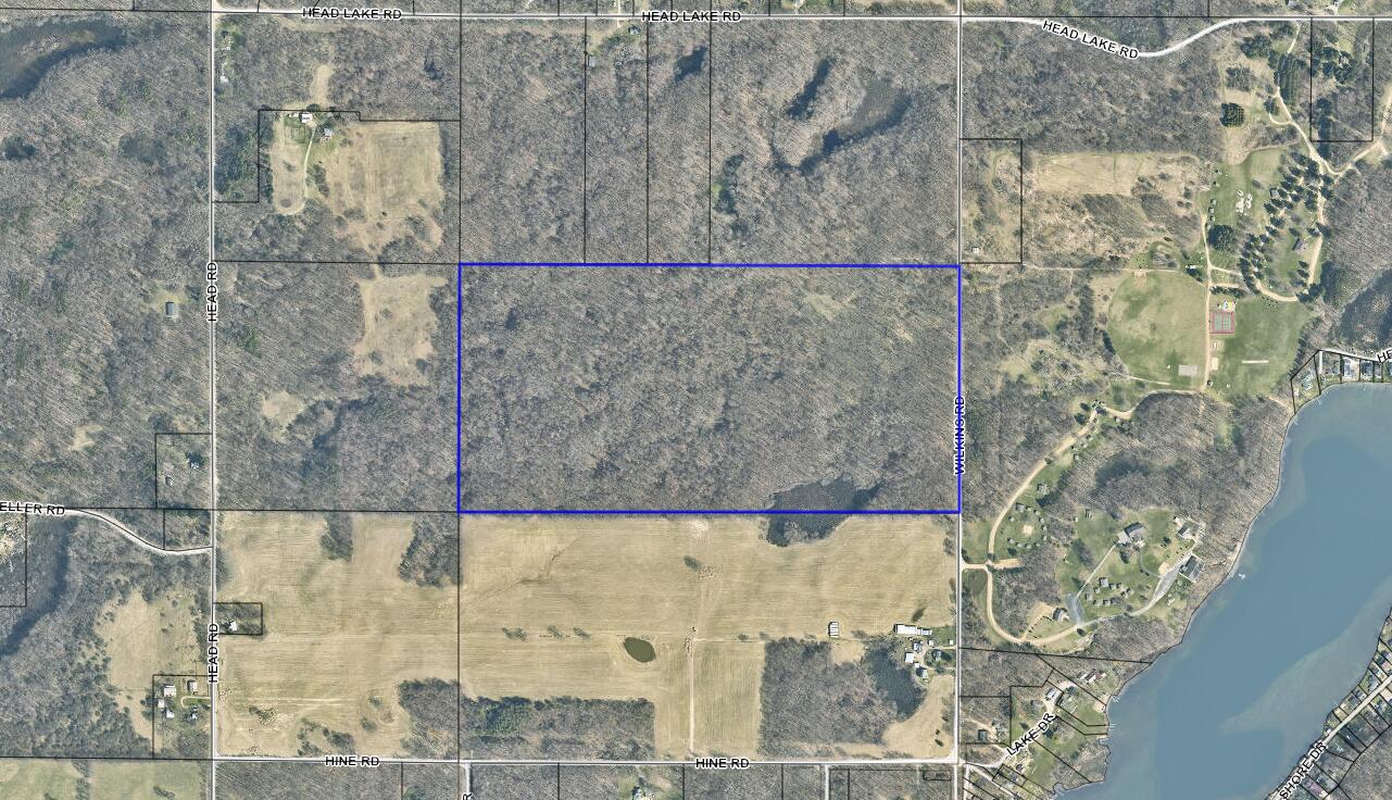 Wilkins Road Hastings, MI 49058 - Photo 1 of 1 Aerial VL 80 Acres