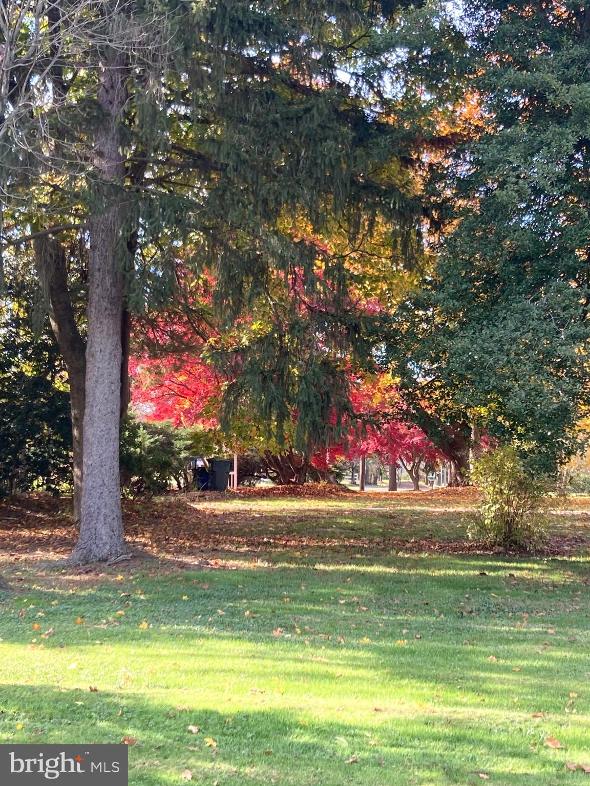 77 Petty Road Cranbury, NJ 08512 - Photo 30 of 32 a view of building with trees in the background